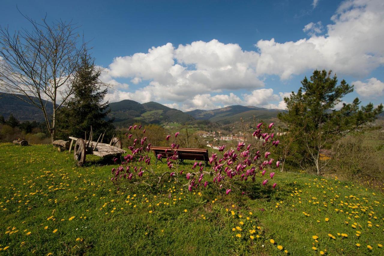 Apartamentos Turisticos Bizkar Bare Sopuerta Dış mekan fotoğraf
